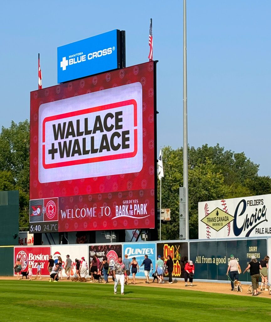 Wallace + Wallace at Bark in the Park